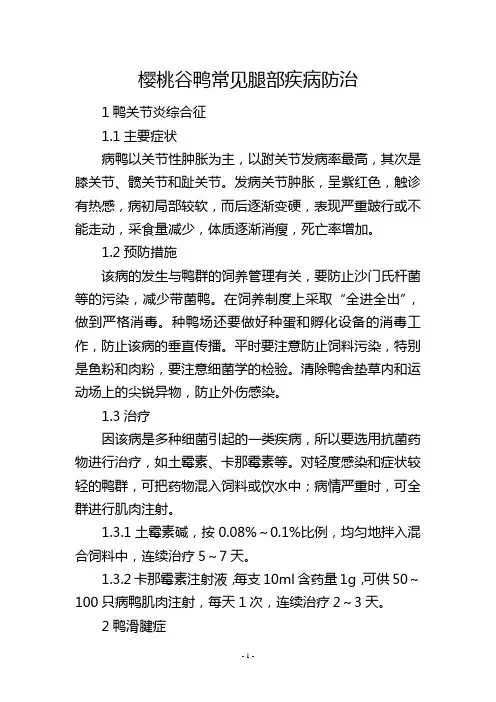 樱桃谷鸭常见腿部疾病防治