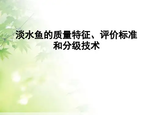 淡水鱼的质量特征、评价标准和分级技术