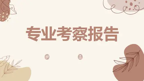 专业考察报告