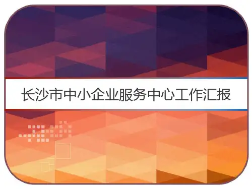 长沙市中小企业服务中心工作汇报 PPT