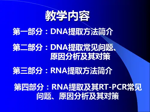 核酸的提取