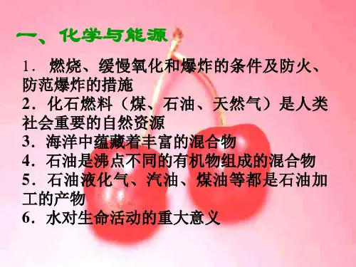 中考化学化学与社会发展课件(PPT)2-1