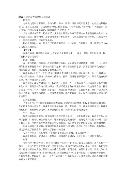 湖南高考满分议论文作文及点评