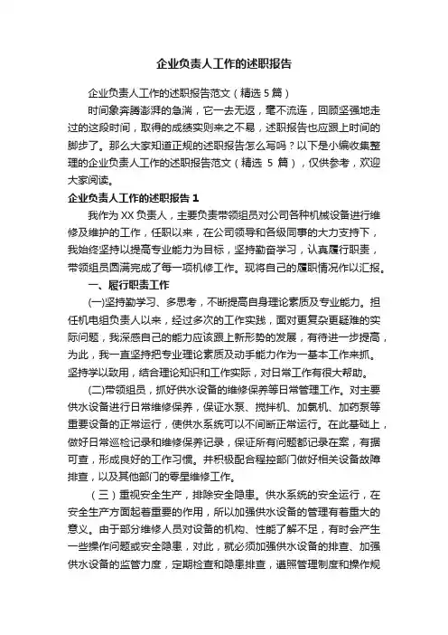 企业负责人工作的述职报告