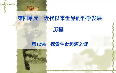 《破解生命起源之谜》ppt课件