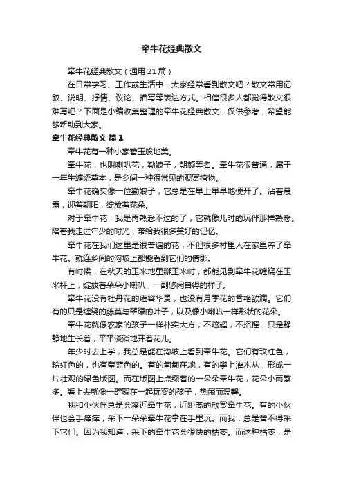 牵牛花经典散文（通用21篇）