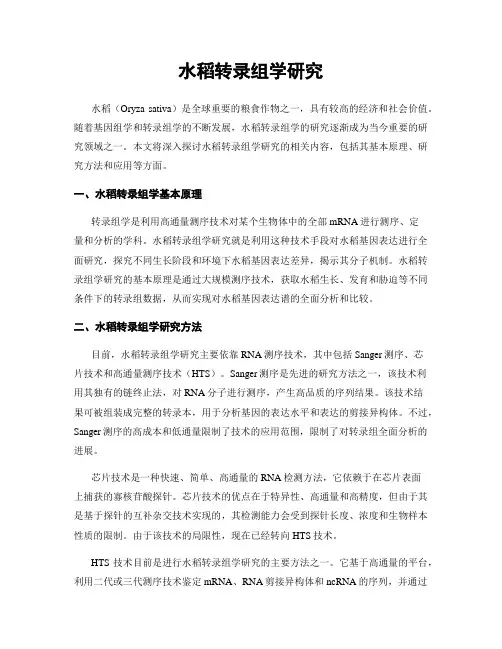 水稻转录组学研究
