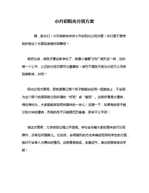 小升初阳光分班方案