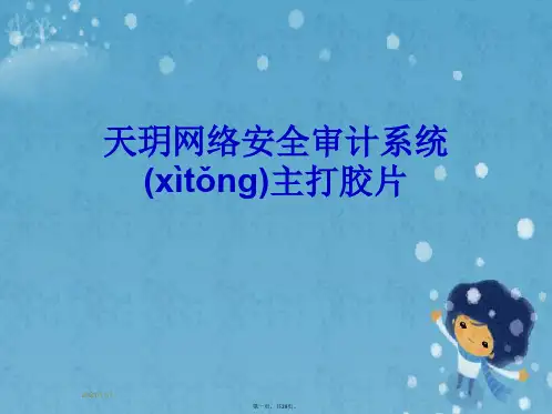 天玥网络安全审计系统主打胶片