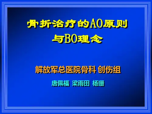 骨折治疗的AO原则与BO理念——301