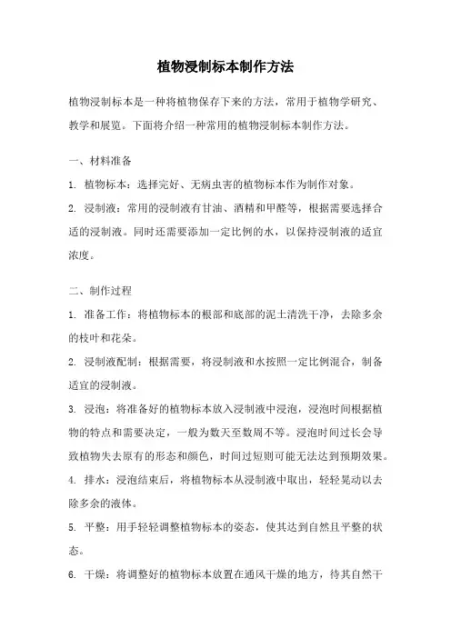 植物浸制标本制作方法