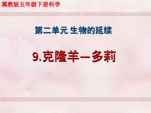 冀教版(冀人版)五年级下册科学《克隆羊多莉》精编PPT课件