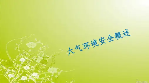 大气环境安全概述(PPT 38页)