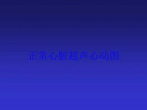 正常心脏超声心动图培训课件