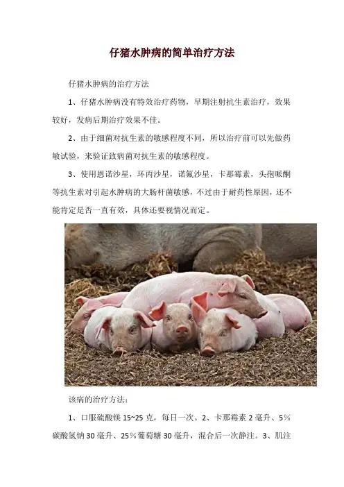 仔猪水肿病的简单治疗方法