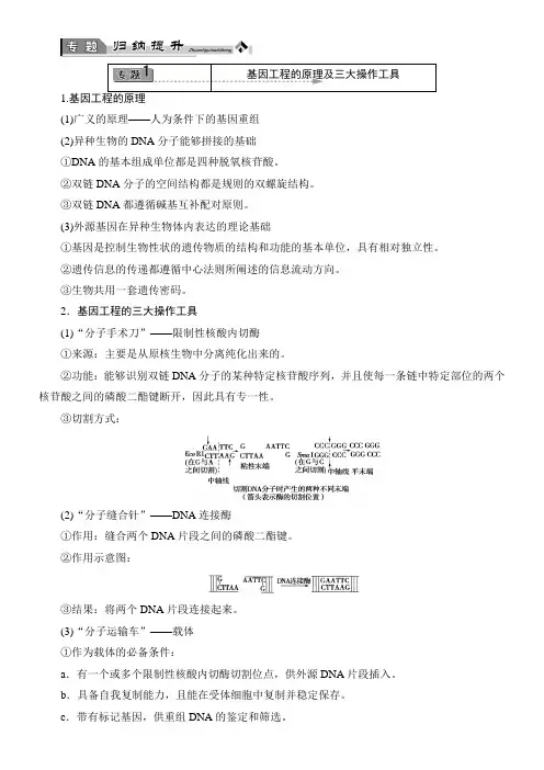 高中生物浙科版现代生物科技专题第五章生态工程 专题归纳提升