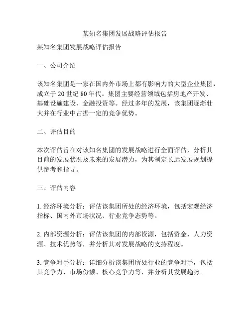 某知名集团发展战略评估报告