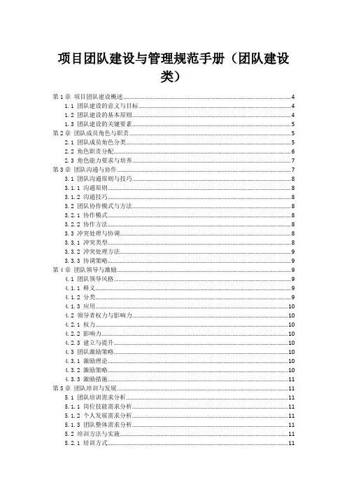 项目团队建设与管理规范手册(团队建设类)
