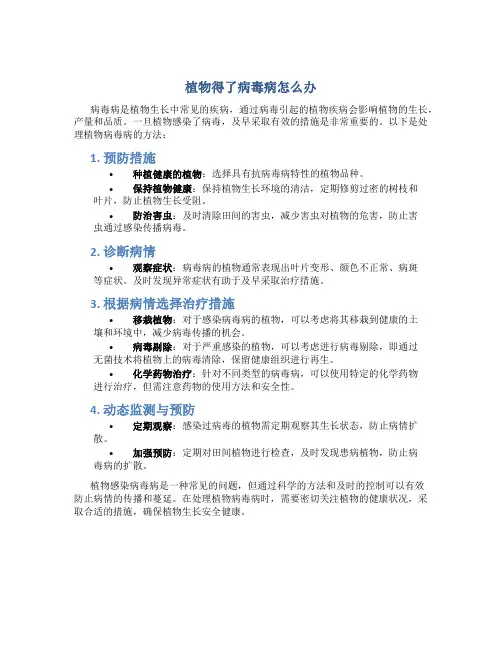 植物得了病毒病怎么办