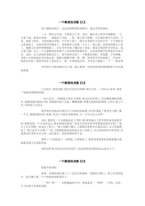 一个熟悉的身影作文
