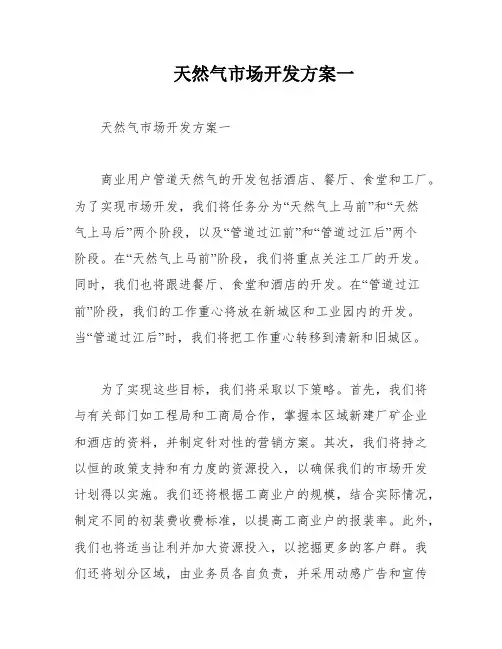天然气市场开发方案一