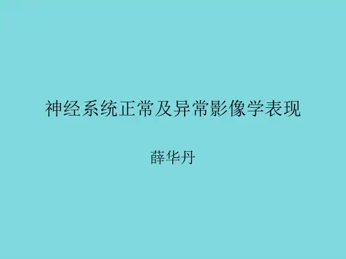 神经系统正常及异常影像学表现(共10张PPT)