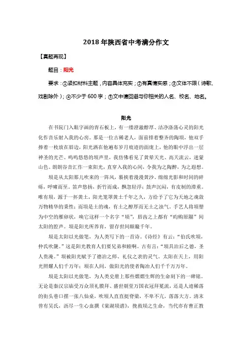2018年陕西省中考满分作文《阳光》15