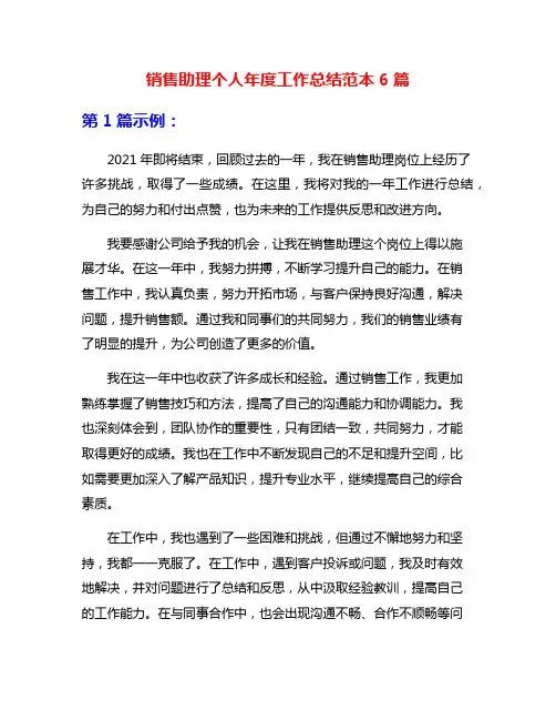 销售助理个人年度工作总结范本6篇