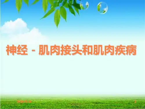 神经肌肉接头和肌肉疾病PPT课件