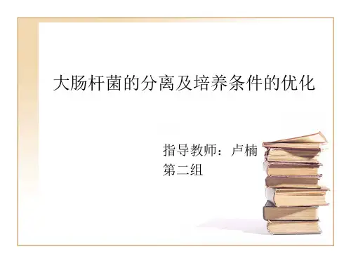 大肠杆菌的分离及培养条件的优化