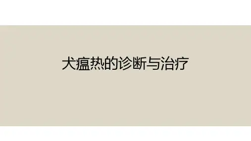 犬瘟热的诊断与治疗(PPT)