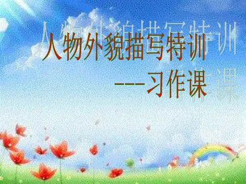 人物外貌描写特训习作公开课