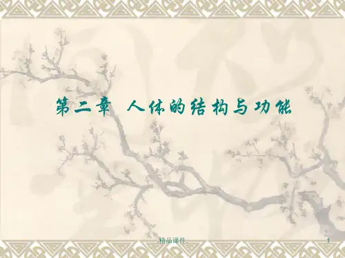 人体的结构与功能概述.ppt