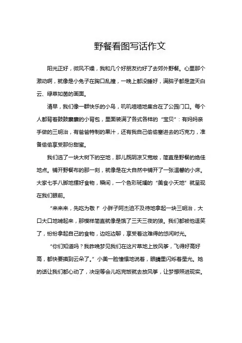 野餐看图写话作文