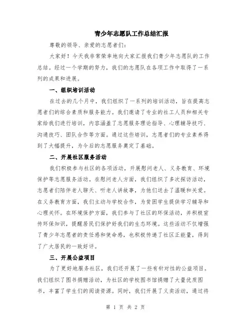 青少年志愿队工作总结汇报