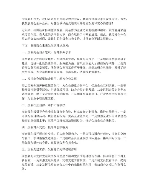 商会领导会议发言稿