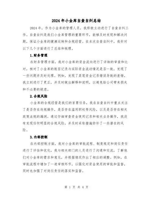 2024年小金库自查自纠总结(2篇)