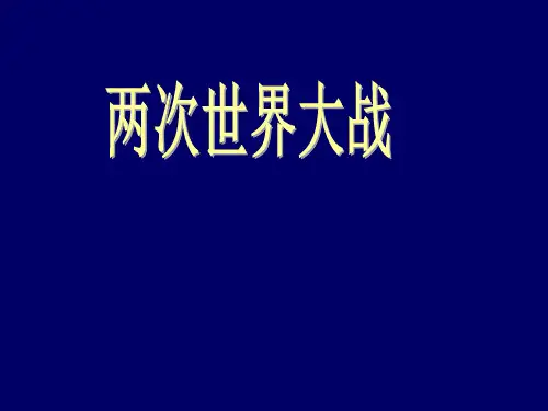 综合复习两次世界大战