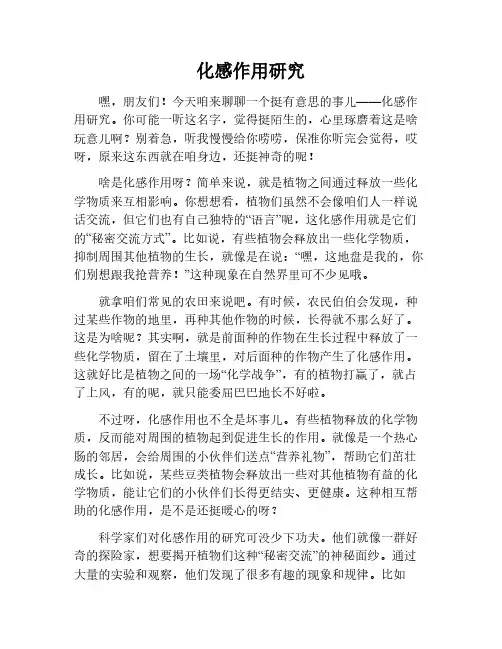 化感作用的研究