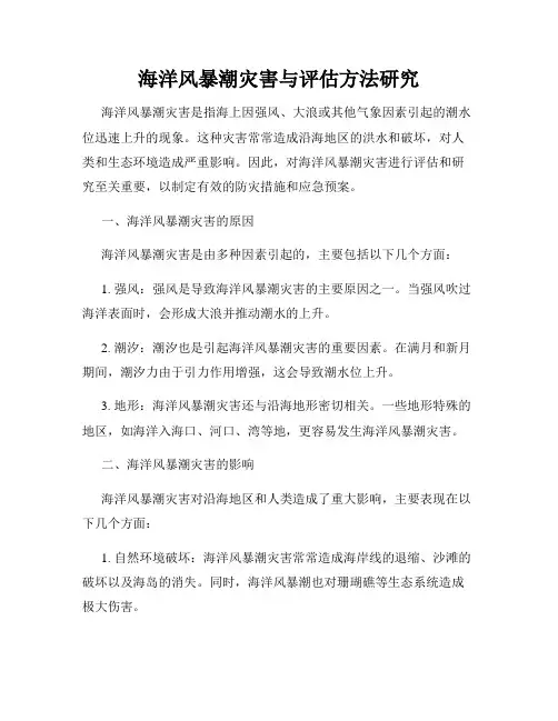 海洋风暴潮灾害与评估方法研究