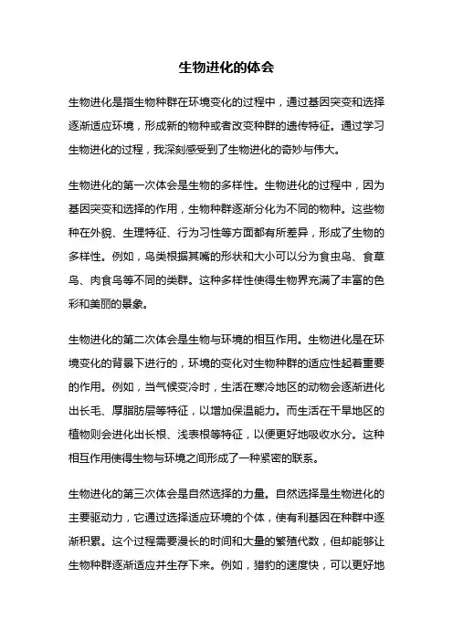 生物进化的体会