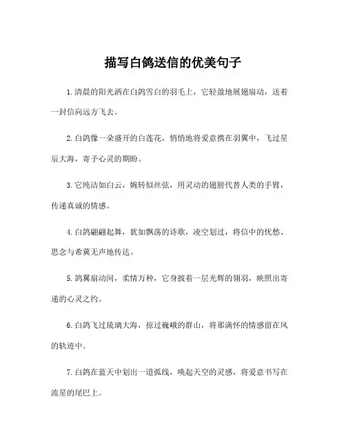 描写白鸽送信的优美句子