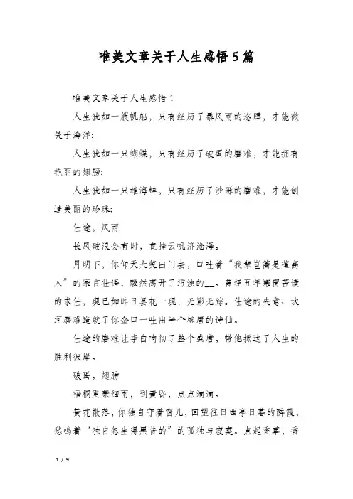 唯美文章关于人生感悟5篇