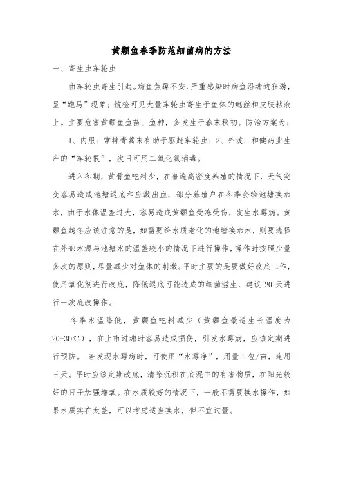 黄颡鱼春季防范细菌病的方法