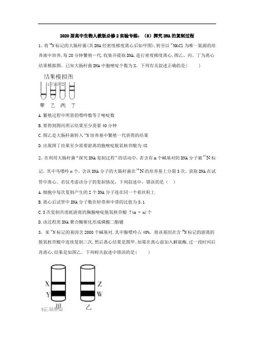 2020届高中生物人教版必修2实验专练：(8)探究DNA的复制过程 Word版含答案
