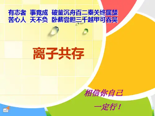 初中化学离子共存问题课件(共19张PPT)