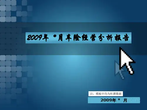 车险分析模板