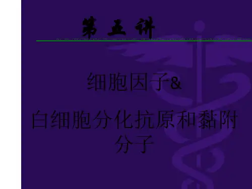 细胞因子概述ppt课件