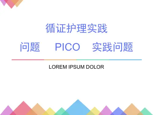 循证护理PPT演示课件