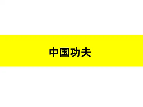 中国功夫